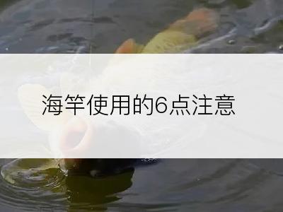 海竿使用的6点注意