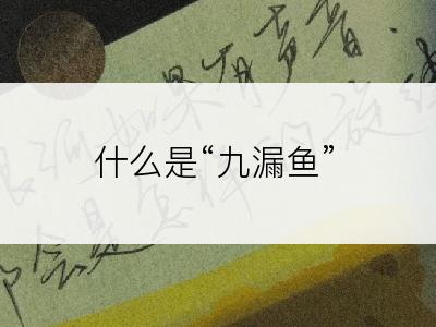 什么是“九漏鱼”