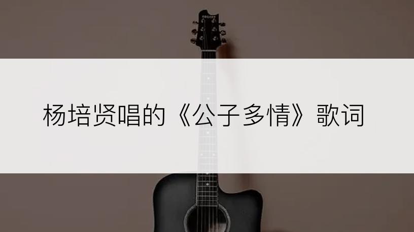 杨培贤唱的《公子多情》歌词