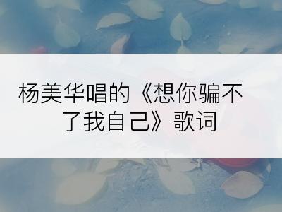 杨美华唱的《想你骗不了我自己》歌词