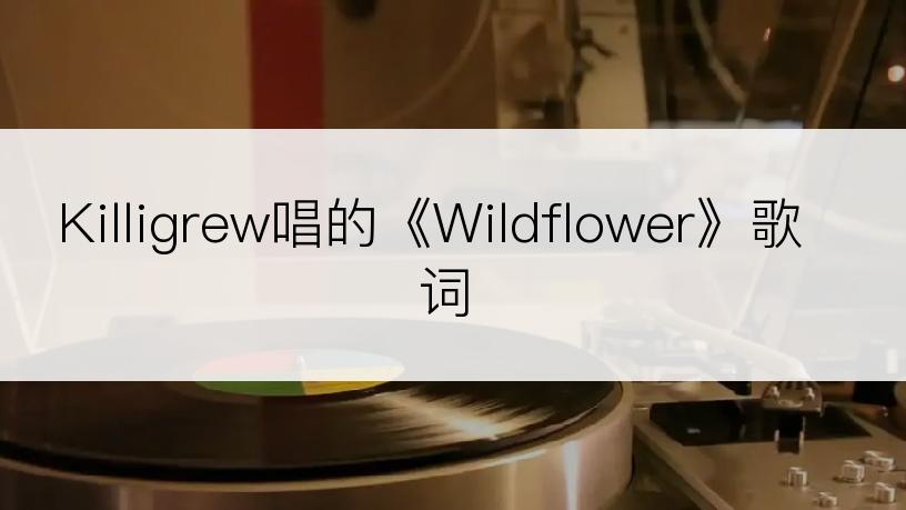 Killigrew唱的《Wildflower》歌词