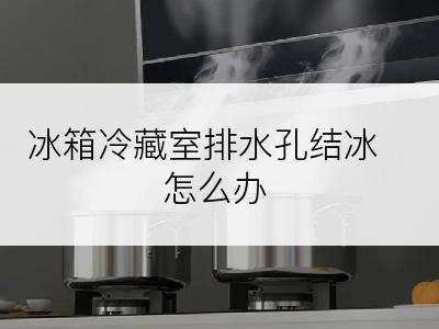 冰箱冷藏室排水孔结冰怎么办