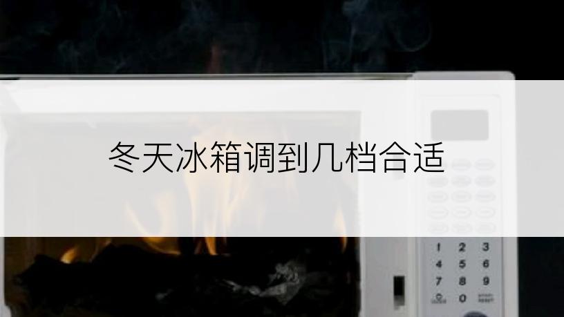 冬天冰箱调到几档合适