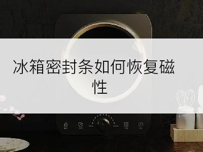 冰箱密封条如何恢复磁性