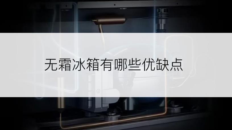 无霜冰箱有哪些优缺点