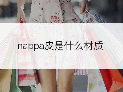 nappa皮是什么材质