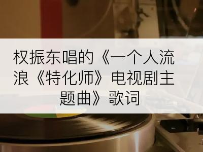 权振东唱的《一个人流浪《特化师》电视剧主题曲》歌词