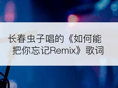 长春虫子唱的《如何能把你忘记Remix》歌词