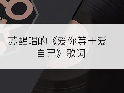 苏醒唱的《爱你等于爱自己》歌词