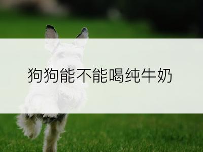 狗狗能不能喝纯牛奶