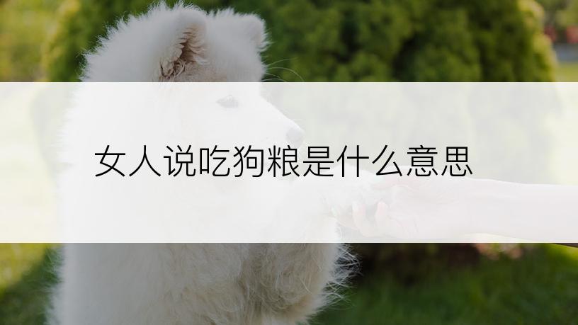 女人说吃狗粮是什么意思