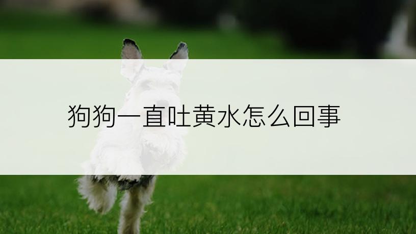 狗狗一直吐黄水怎么回事