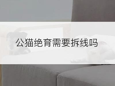 公猫绝育需要拆线吗