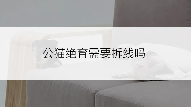 公猫绝育需要拆线吗