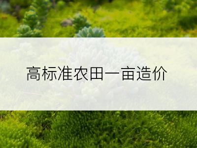 高标准农田一亩造价