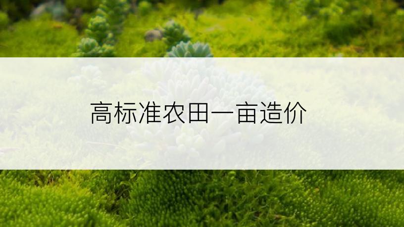 高标准农田一亩造价