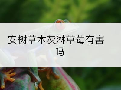 安树草木灰淋草莓有害吗