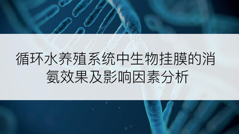 循环水养殖系统中生物挂膜的消氨效果及影响因素分析