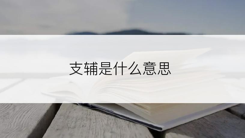 支辅是什么意思