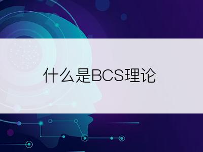 什么是BCS理论