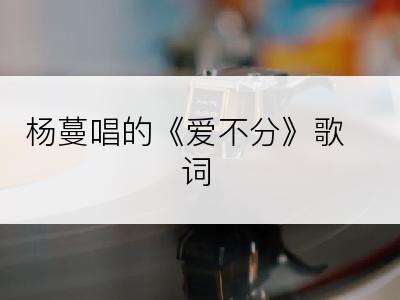 杨蔓唱的《爱不分》歌词