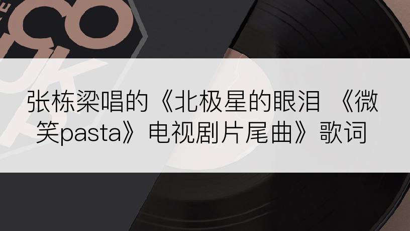 张栋梁唱的《北极星的眼泪 《微笑pasta》电视剧片尾曲》歌词