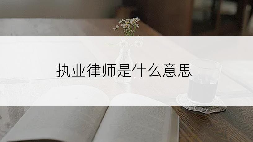 执业律师是什么意思