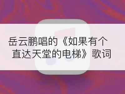 岳云鹏唱的《如果有个直达天堂的电梯》歌词