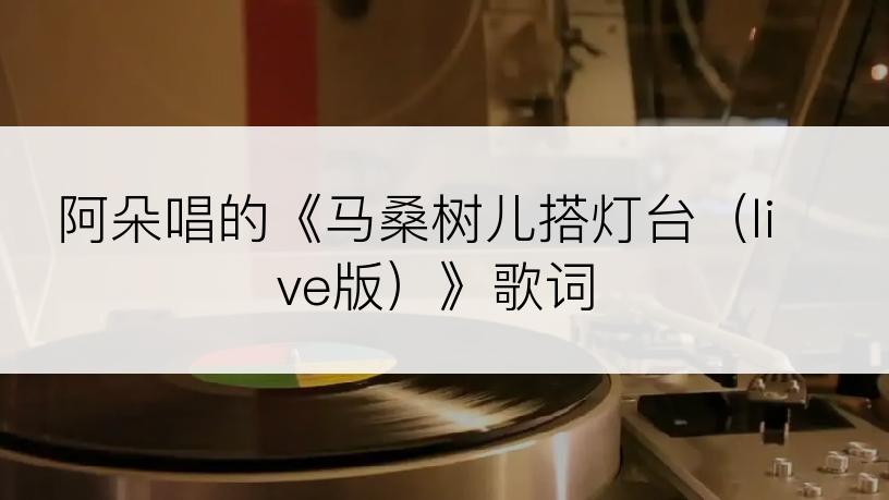 阿朵唱的《马桑树儿搭灯台（live版）》歌词