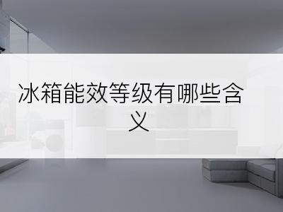 冰箱能效等级有哪些含义