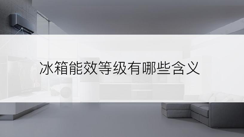 冰箱能效等级有哪些含义