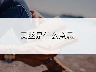 灵丝是什么意思