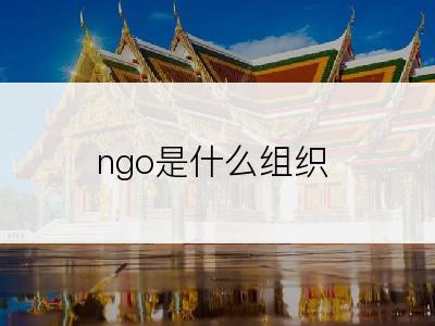 ngo是什么组织