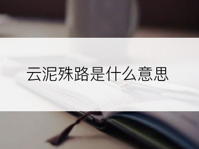 云泥殊路是什么意思