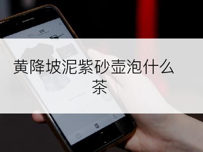 黄降坡泥紫砂壶泡什么茶