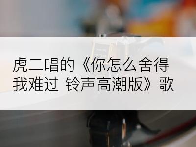 虎二唱的《你怎么舍得我难过 铃声高潮版》歌词