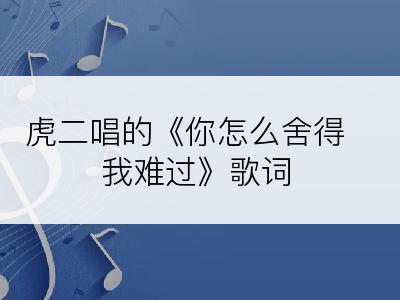 虎二唱的《你怎么舍得我难过》歌词