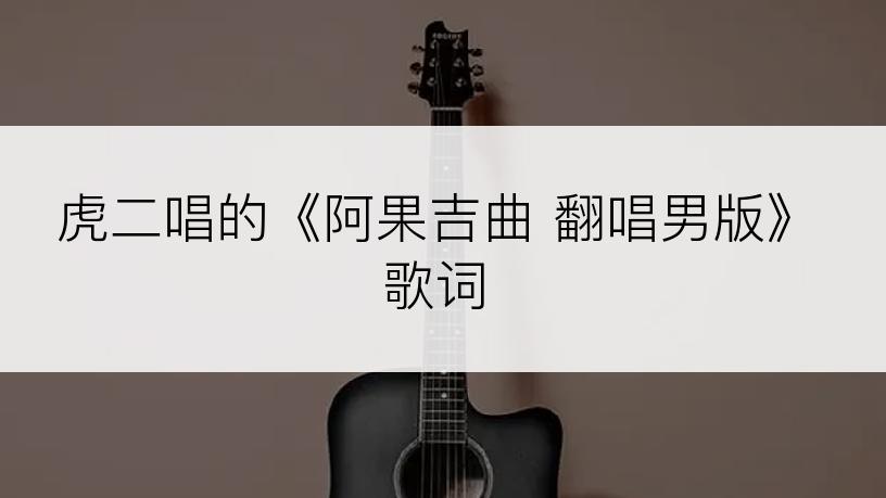 虎二唱的《阿果吉曲 翻唱男版》歌词