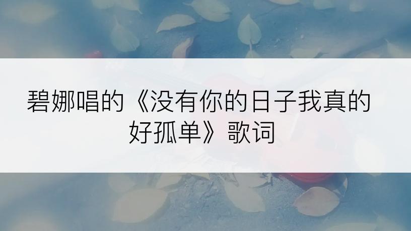 碧娜唱的《没有你的日子我真的好孤单》歌词