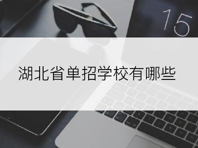 湖北省单招学校有哪些