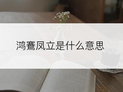 鸿鶱凤立是什么意思