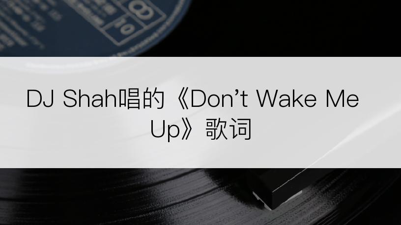 DJ Shah唱的《Don't Wake Me Up》歌词