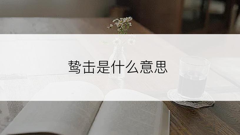 鸷击是什么意思