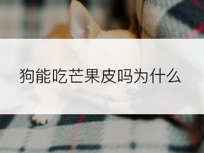 狗能吃芒果皮吗为什么