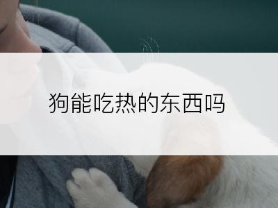 狗能吃热的东西吗