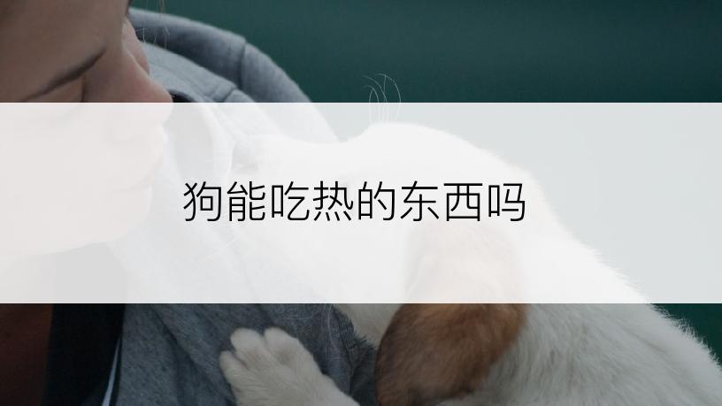 狗能吃热的东西吗