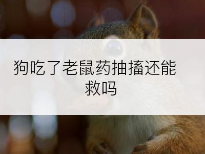 狗吃了老鼠药抽搐还能救吗