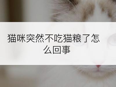 猫咪突然不吃猫粮了怎么回事