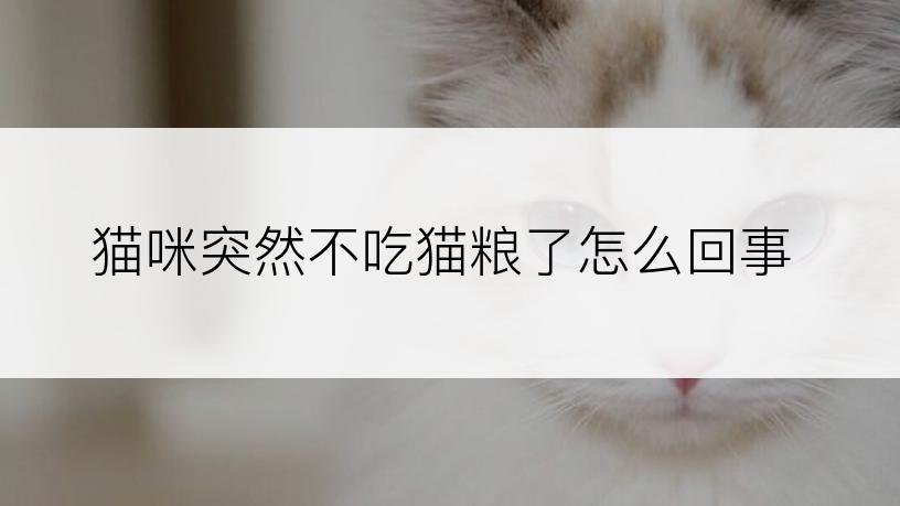 猫咪突然不吃猫粮了怎么回事