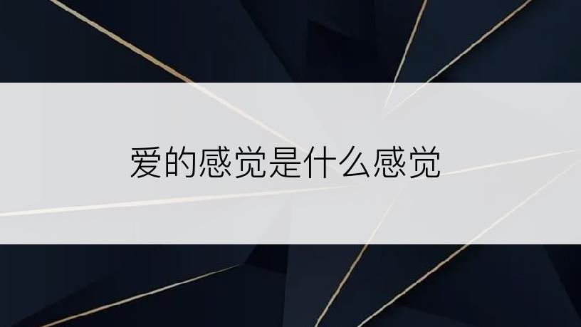 爱的感觉是什么感觉